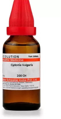 Dr Willmar Schwabe India Spinacea Oleracea Dilution