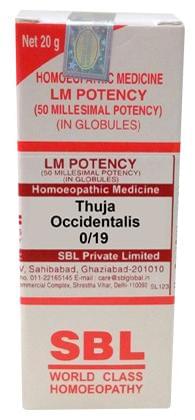 SBL Thuja Occidentalis 0/19 LM
