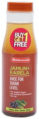 Baidyanath Jhansi Jamun+Karela Ready To Drink Juice