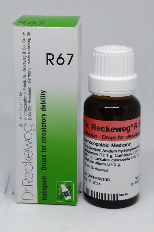 Dr. Reckeweg R67 Circulatory Debility Drop