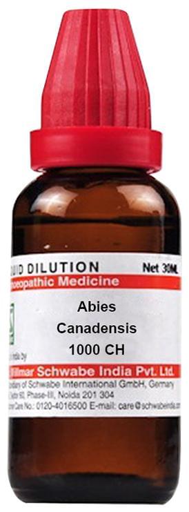 Dr Willmar Schwabe India Abies Canadensis Dilution 1000 CH