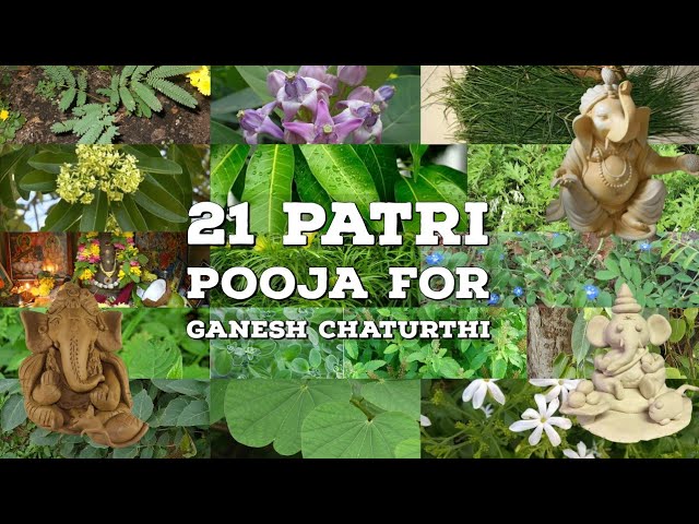 Patri For Ganesh Patri Pooja