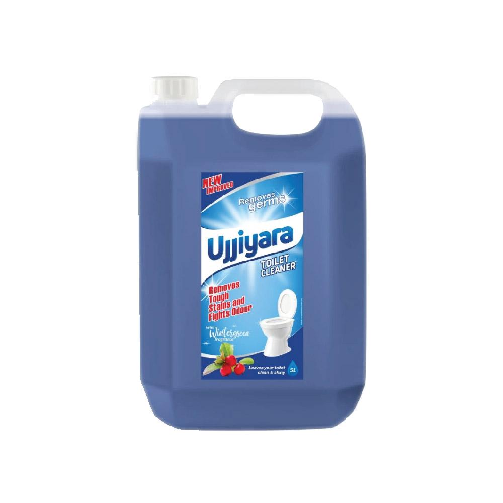 Sri Sri Tattva Ujjiyara Toilet Cleaner Winter Green
