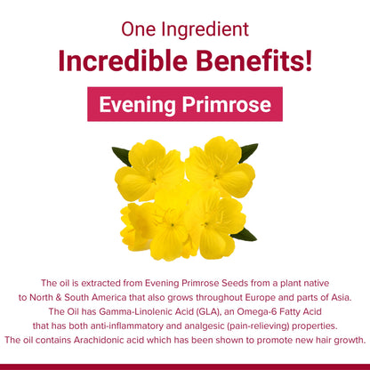 Sri Sri Tattva SupaSupp Evening Primrose Oil