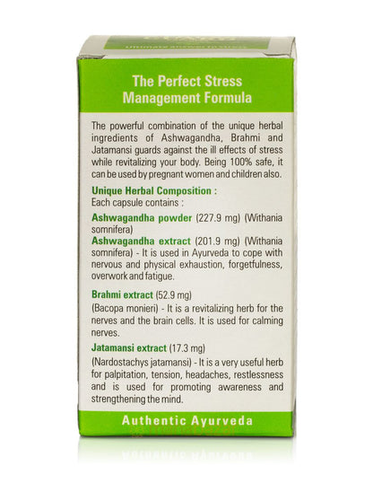 Baidyanath Vansaar Stress Guard  Capsules