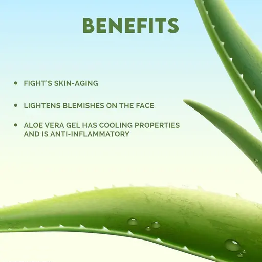Jovees Aloe Vera Moisturising Lotion