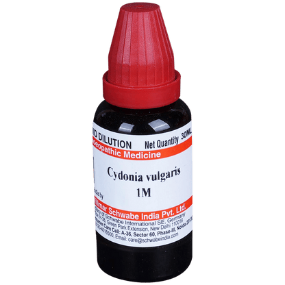 Dr Willmar Schwabe India Cydonia Vulgaris Dilution 1M