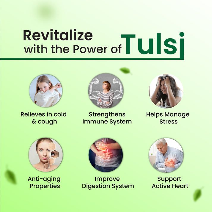 Tulsi Capsule