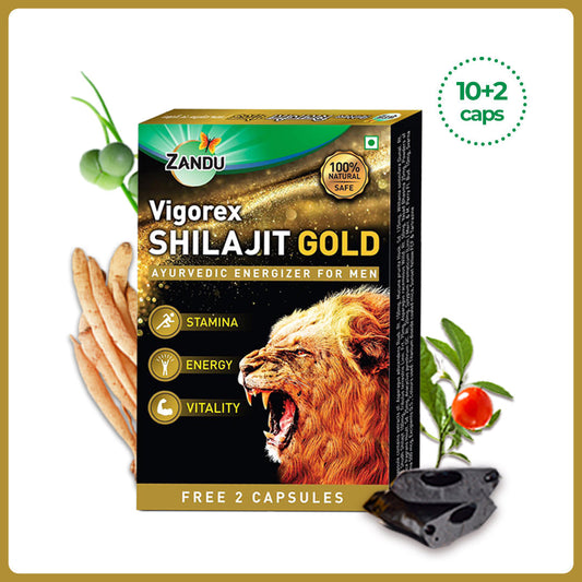 Zandu Vigorex Shilajit Gold Capsule