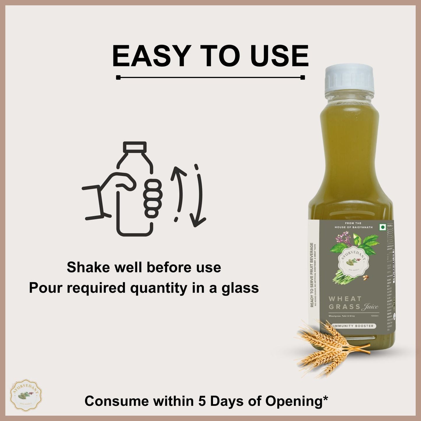 Baidyanath Wheat Grass Ready to Drink Juice