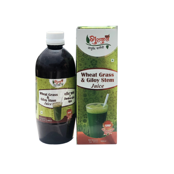 Gurukul Ayurved Pharmacy Wheatgrass and Giloy Stem Juice