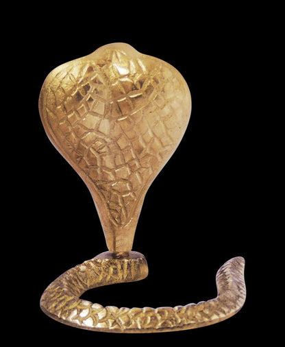 Brass Snake