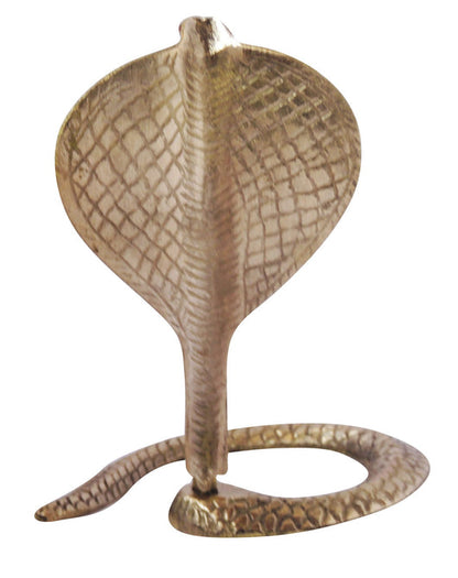 Brass Snake