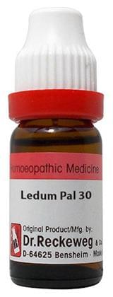 Dr. Reckeweg Ledum Pal Dilution 